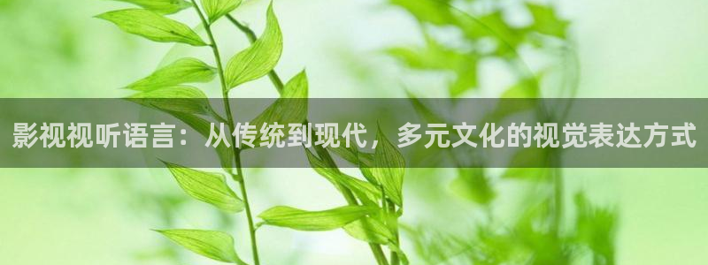 四虎影视亚洲国产：影视视听语言：从传统到现代，多元文化的视觉表达方式