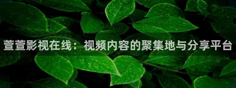 四虎影院线：萱萱影视在线：视频内容的聚集地与分享平台