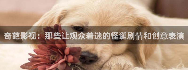 四虎影视2023：奇葩影视：那些让观众着迷的怪诞剧情和创意表演