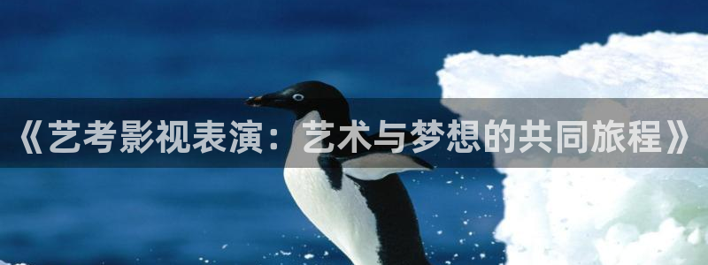 四虎影院,com：《艺考影视表演：艺术与梦想的共同旅程》
