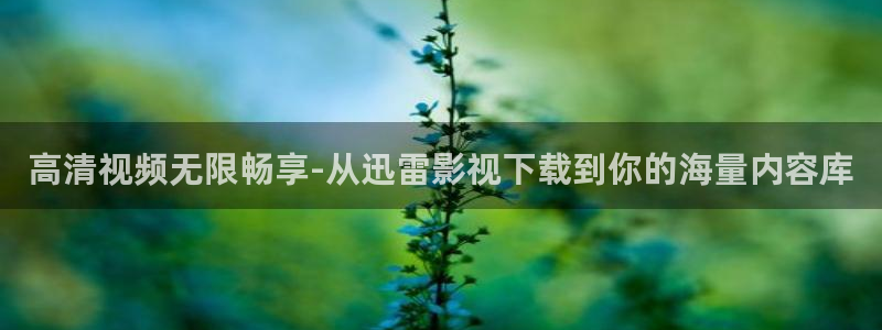 日四虎影院：高清视频无限畅享-从迅雷影视下载到你的海量内容库