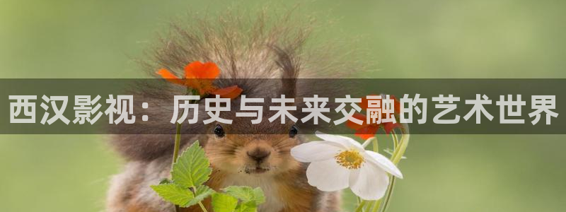 四虎影视免费：西汉影视：历史与未来交融的艺术世界