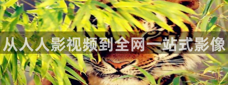 四虎影院免费地址：从人人影视频到全网一站式影像