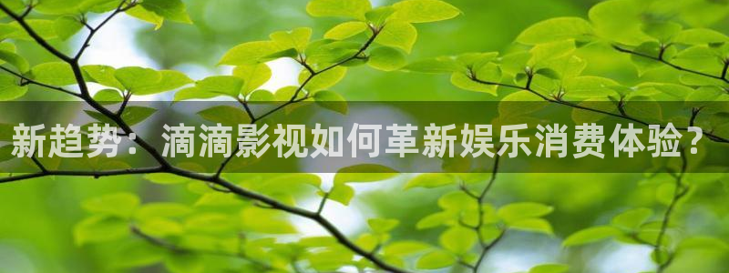 四虎影视在线免费：新趋势：滴滴影视如何革新娱乐消费体验？